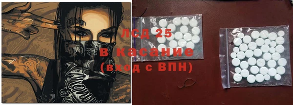 стафф Осинники