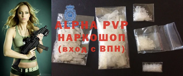 стафф Осинники