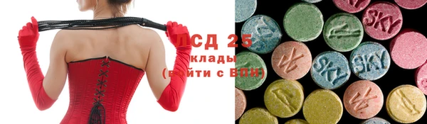 стафф Осинники