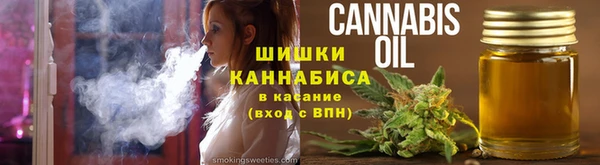 стафф Осинники