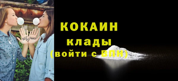 гашик Осташков