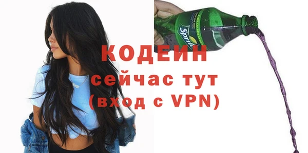 стафф Осинники