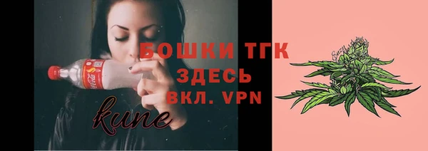 гашик Осташков