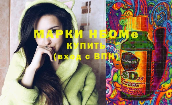 стафф Осинники