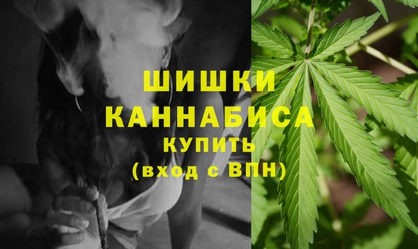 гашик Осташков