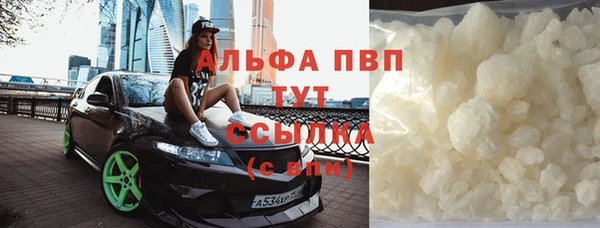 стафф Осинники